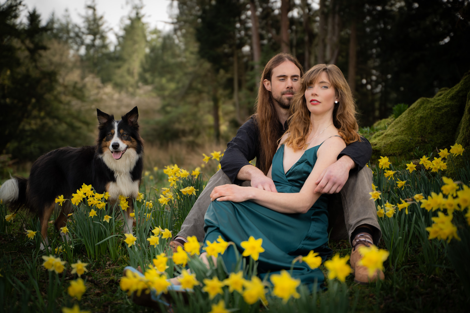 A couple and their border collie sitting among yellow daffodils in a woodland